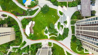 親臨這波重慶精品大區(qū) 比火鍋更誘人的園林綠化工程