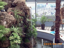 園林綠化工程 美化環(huán)境，一呼百應