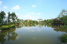 上海奉賢園林綠化工程 打造生態(tài)宜居的城市綠洲