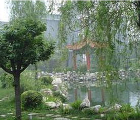 上海園林綠化工程施工及報價指南