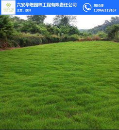 六安市華煜園林工程有限責任公司 專業(yè)園林綠化工程服務