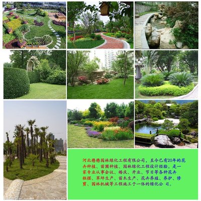 懋懋園林綠化 打造綠色生態(tài)，鑄就園林工程典范