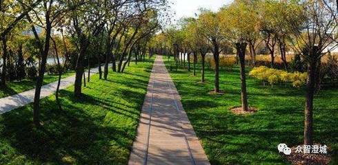 信用納為重要指標！江陰出臺新的園林綠化工程招投標管理實施細則