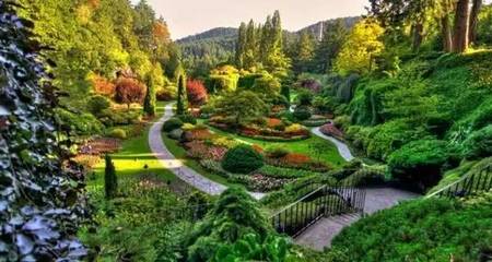 雄安新區綠化建設 科學選種，描繪未來生態畫卷